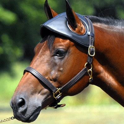 Protector de cabeza para caballo (Piel)