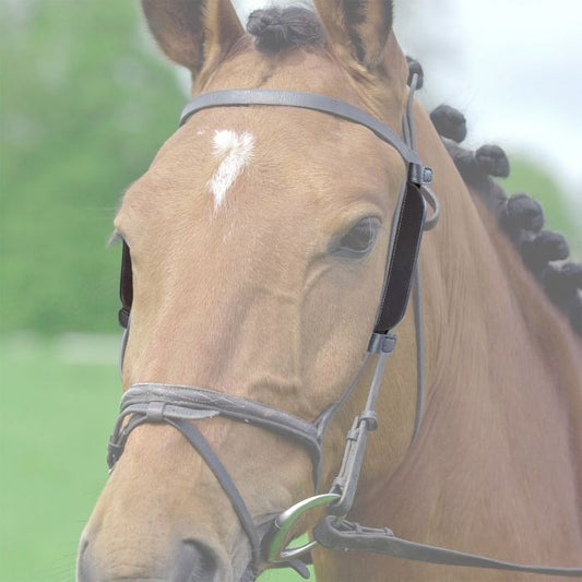 Blinkers para caballo